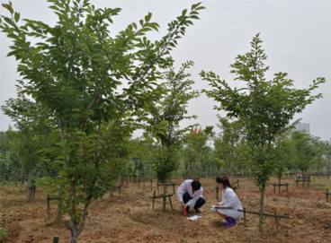 K8凯发(中国)天生赢家一触即发