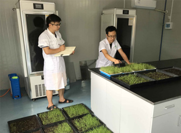 K8凯发(中国)天生赢家一触即发