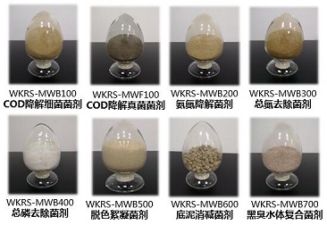 K8凯发(中国)天生赢家一触即发